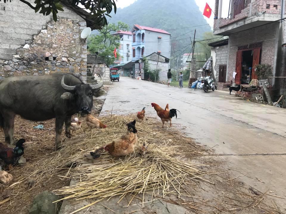 A Sy Ban Gioc Homestay - Lang Da Khuoi Ky カオバン エクステリア 写真