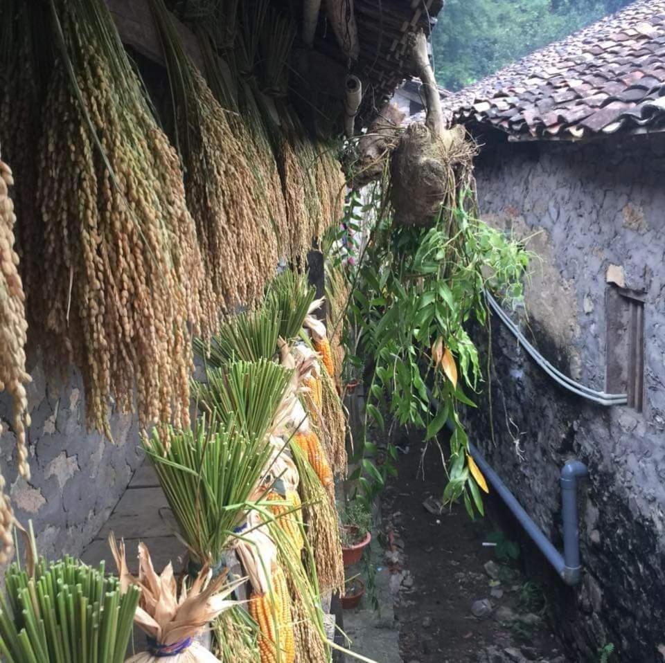 A Sy Ban Gioc Homestay - Lang Da Khuoi Ky カオバン エクステリア 写真
